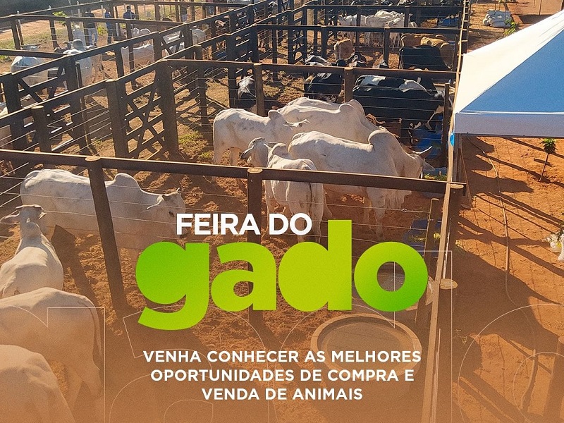 ATENÇÃO, PRODUTOR RURAL! VEM AÍ UMA GRANDE OPORTUNIDADE DE COMERCIALIZAÇÃO DOS ANIMAIS!
