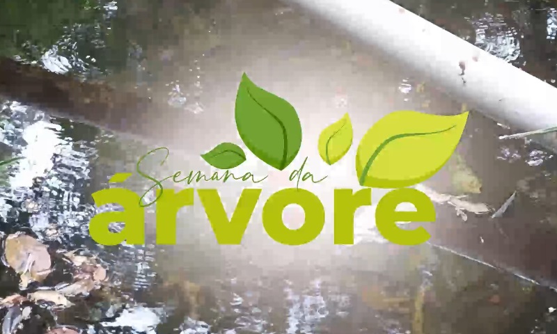 SECRETARIA DE MEIO AMBIENTE REALIZOU AÇÕES NO COLÉGIO MUNICIPAL DO DISTRITO DO AÇUDE NA SEMANA DA ÁRVORE