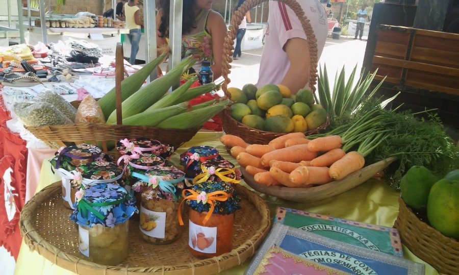 CONVITE: FEIRA AGROECOLÓGICA, CULTURAL E DA ECONOMIA SOLIDÁRIA SERÁ REALIZADA NOS DIAS 28 E 29 DE MAIO