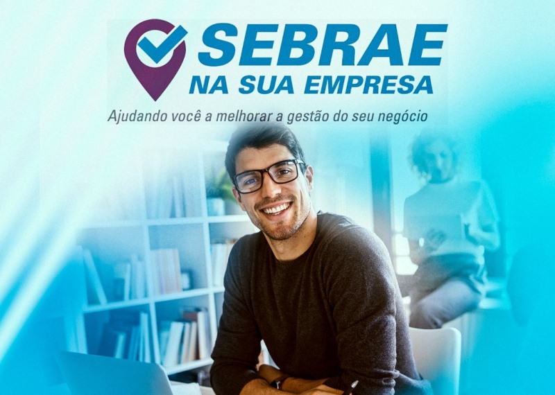 SEBRAE NA SUA EMPRESA: AJUDANDO VOCÊ A MELHORAR A GESTÃO DO SEU NEGÓCIO